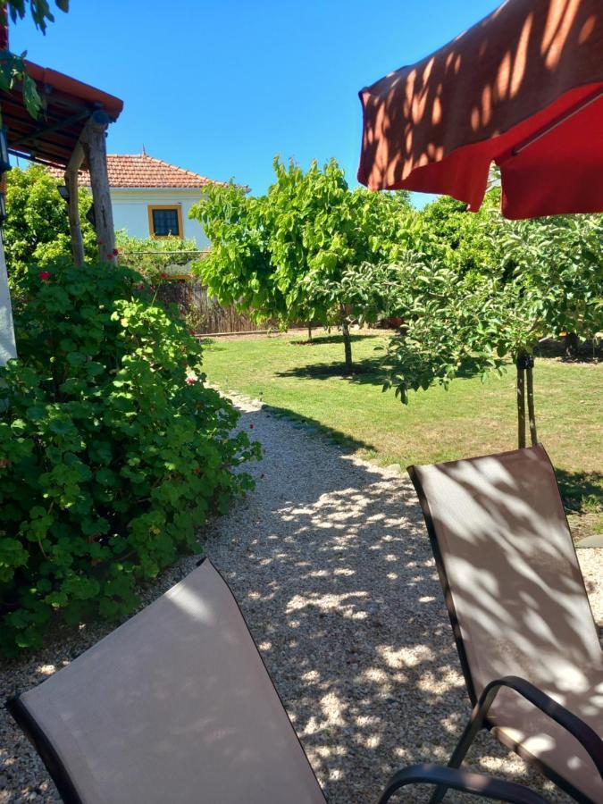 O Ninho Do Rei Apartman Vila de Rei Kültér fotó