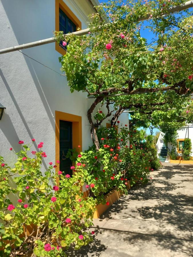 O Ninho Do Rei Apartman Vila de Rei Kültér fotó