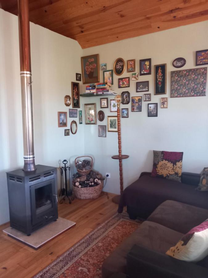 O Ninho Do Rei Apartman Vila de Rei Kültér fotó