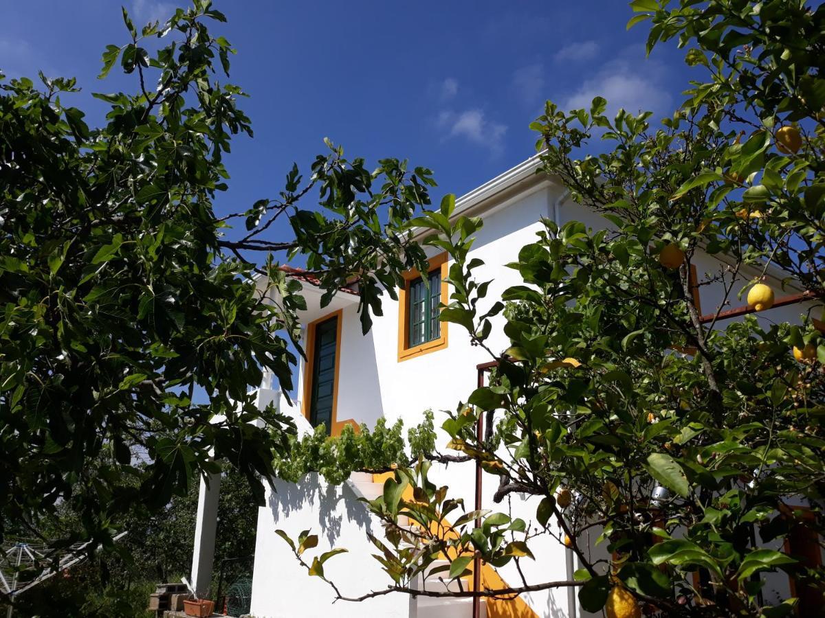 O Ninho Do Rei Apartman Vila de Rei Kültér fotó